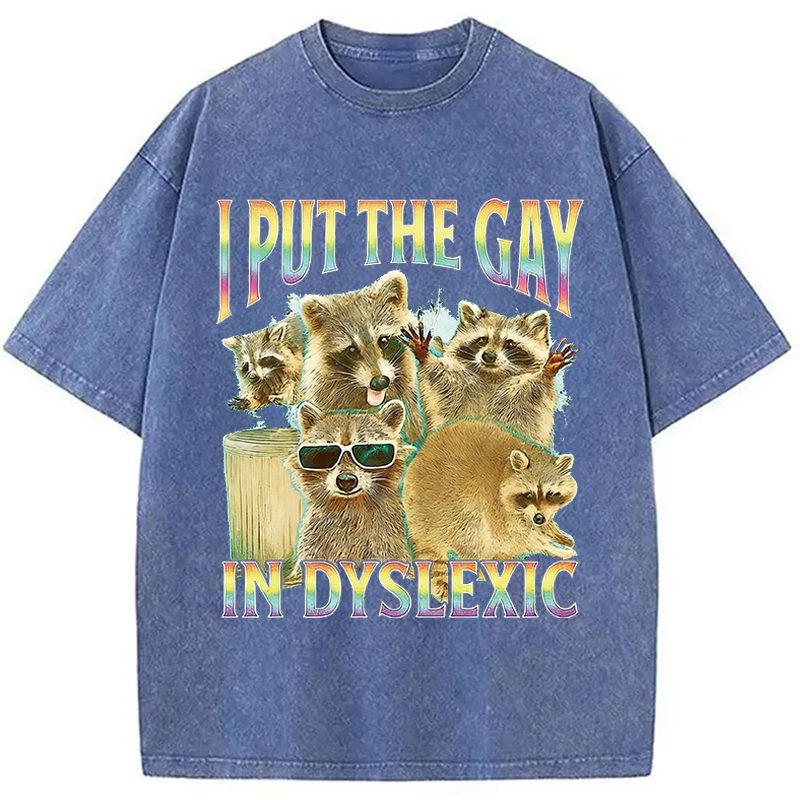 Modecanvas I Put The Gay In Dyslexic Funny Raccoon Meme DTG Printing Washed T-Shirt