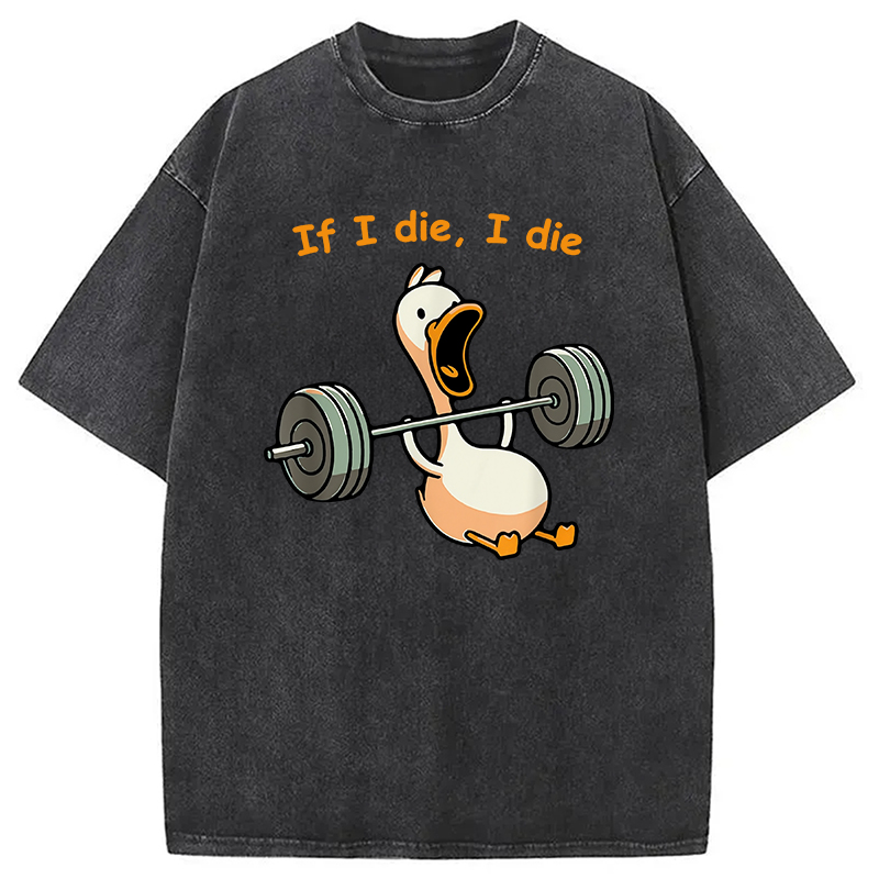 Modecanvas I Die Funny Meme Washed T-Shirt