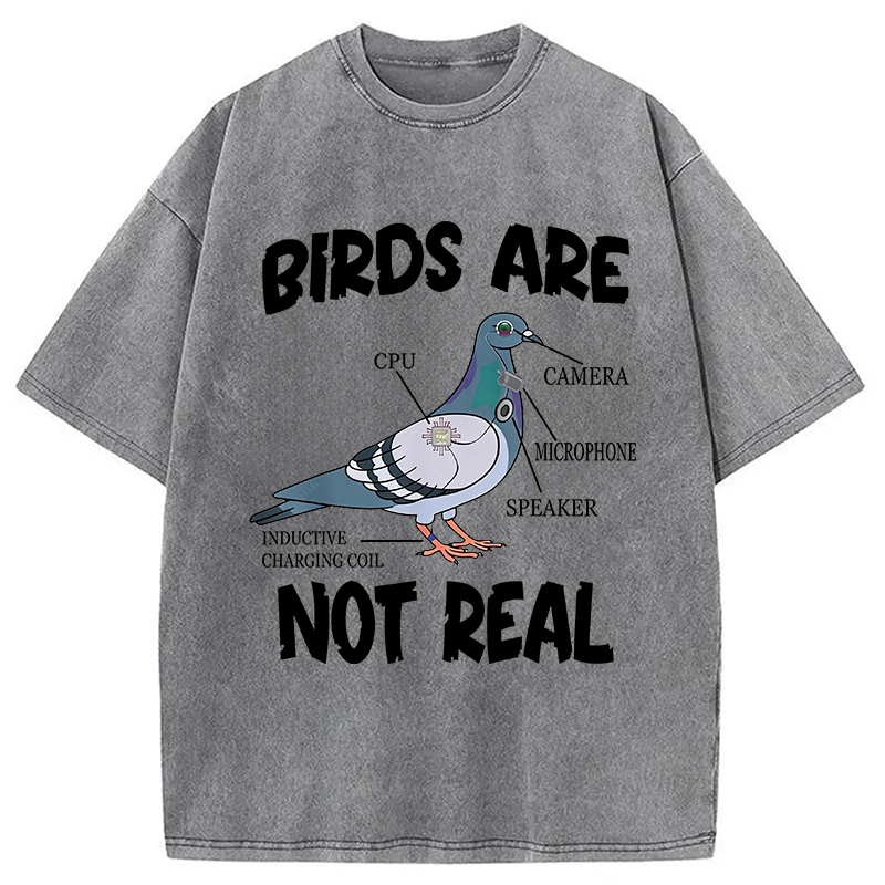 Modecanvas Pigeon Birds Are Not Real Funny DTG Printing Washed T-Shirt