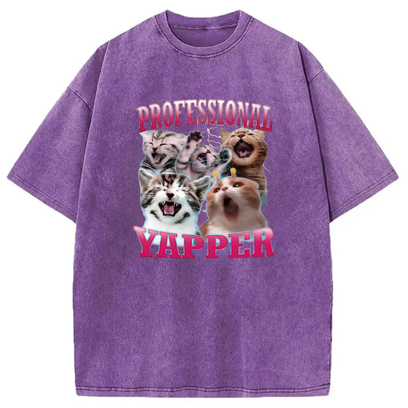 Modecanvas Professional Yapper Cat Washed T-Shirt