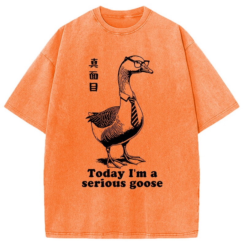 Modecanvas Serious Goose Washed T-Shirt