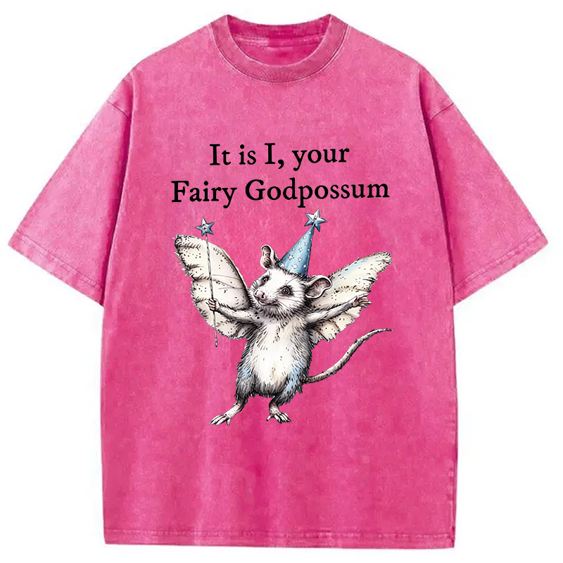 Modecanvas It Is I, Your Fairy Godpossum DTG Printing Washed T-Shirt