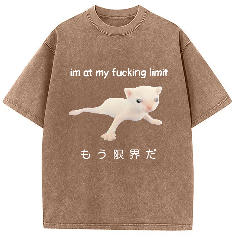 Modecanvas Cat Reaching Its Limit Washed T-Shirt-modecanvas