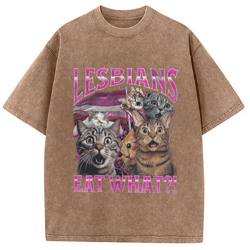 Modecanvas Lesbians Eat What?! Funny Washed T-Shirt-modecanvas