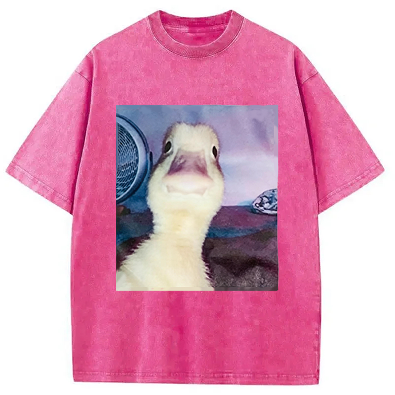 Modecanvas Duck Stare Funny Meme DTG Printing Washed T-Shirt