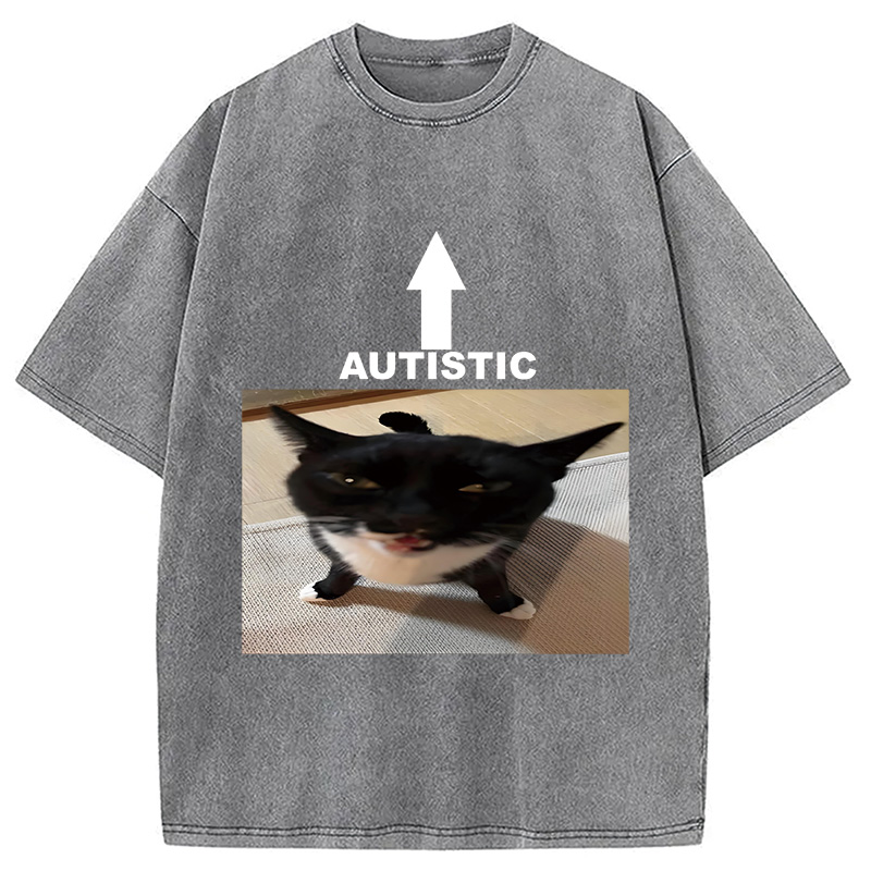 Modecanvas Autistic Cat Washed T-Shirt
