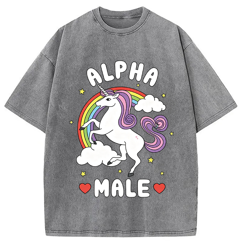 Modecanvas Alpha Male Energy Unicorn DTG Printing Washed T-Shirt