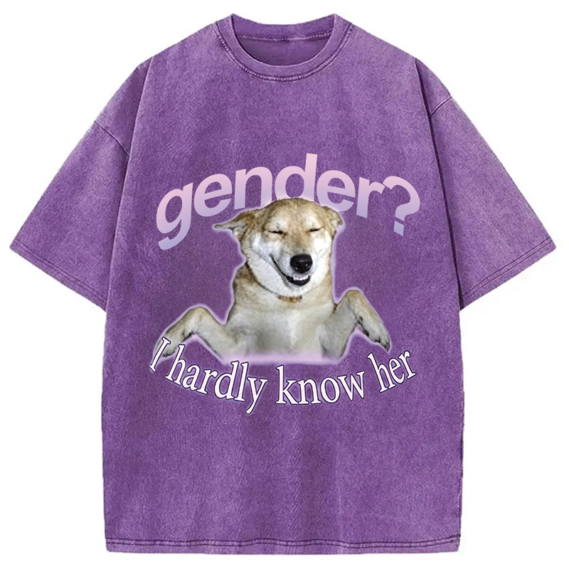 Modecanvas Gender I Hardly Know Her Meme DTG Printing Washed T-Shirt