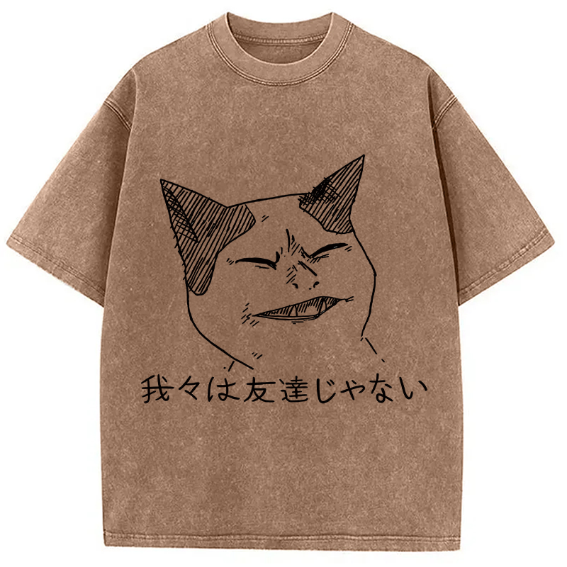 Modecanvas Angry Cat Funny Washed T-Shirt