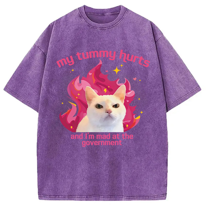 Modecanvas My Tummy Hurts Funny Cat Meme DTG Printing Washed T-Shirt
