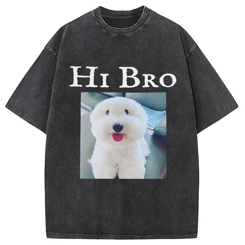 Modecanvas Hi Bro Dog Meme DTG Printing Washed T-Shirt