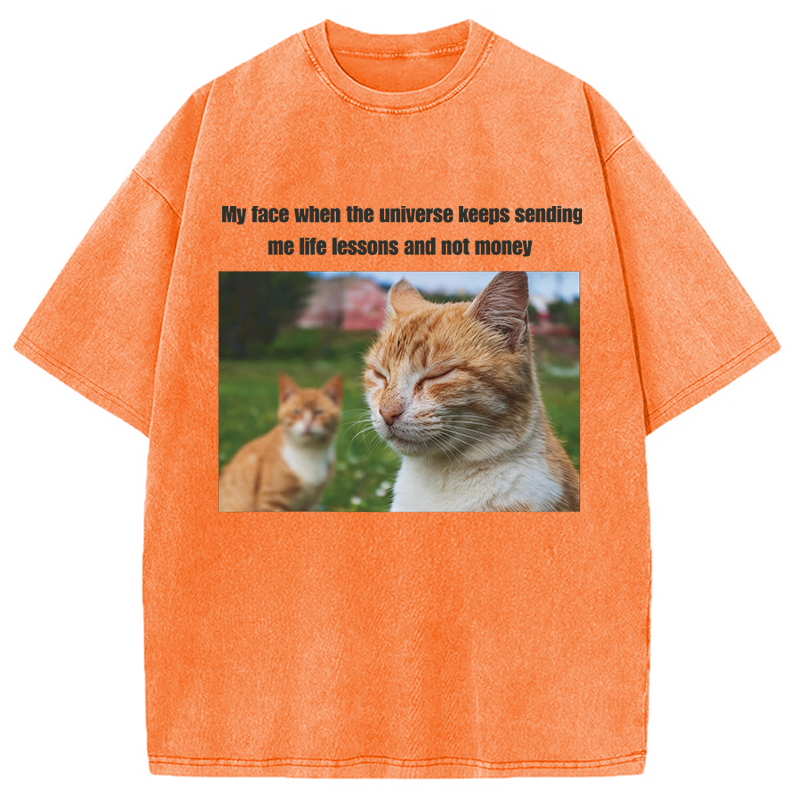 Modecanvas Grumpy Cat Meme DTG Printing Washed T-Shirt