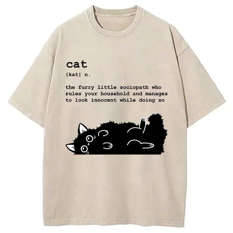 Modecanvas Definition Of Cat Funny Washed T-Shirt