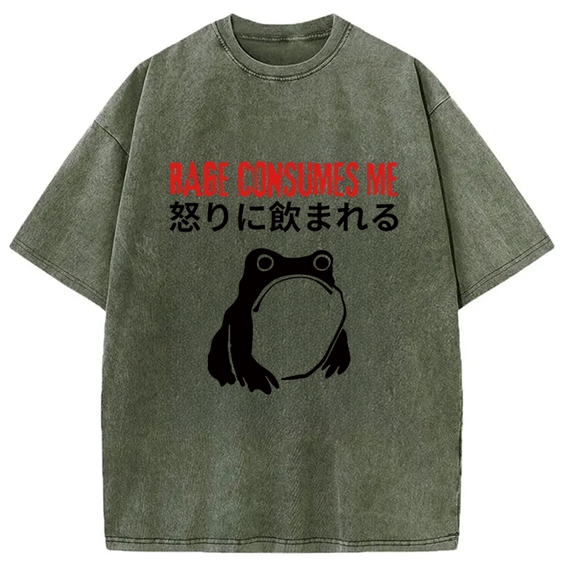 Modecanvas Rage Consumes Me Frog Meme DTG Printing Washed T-Shirt