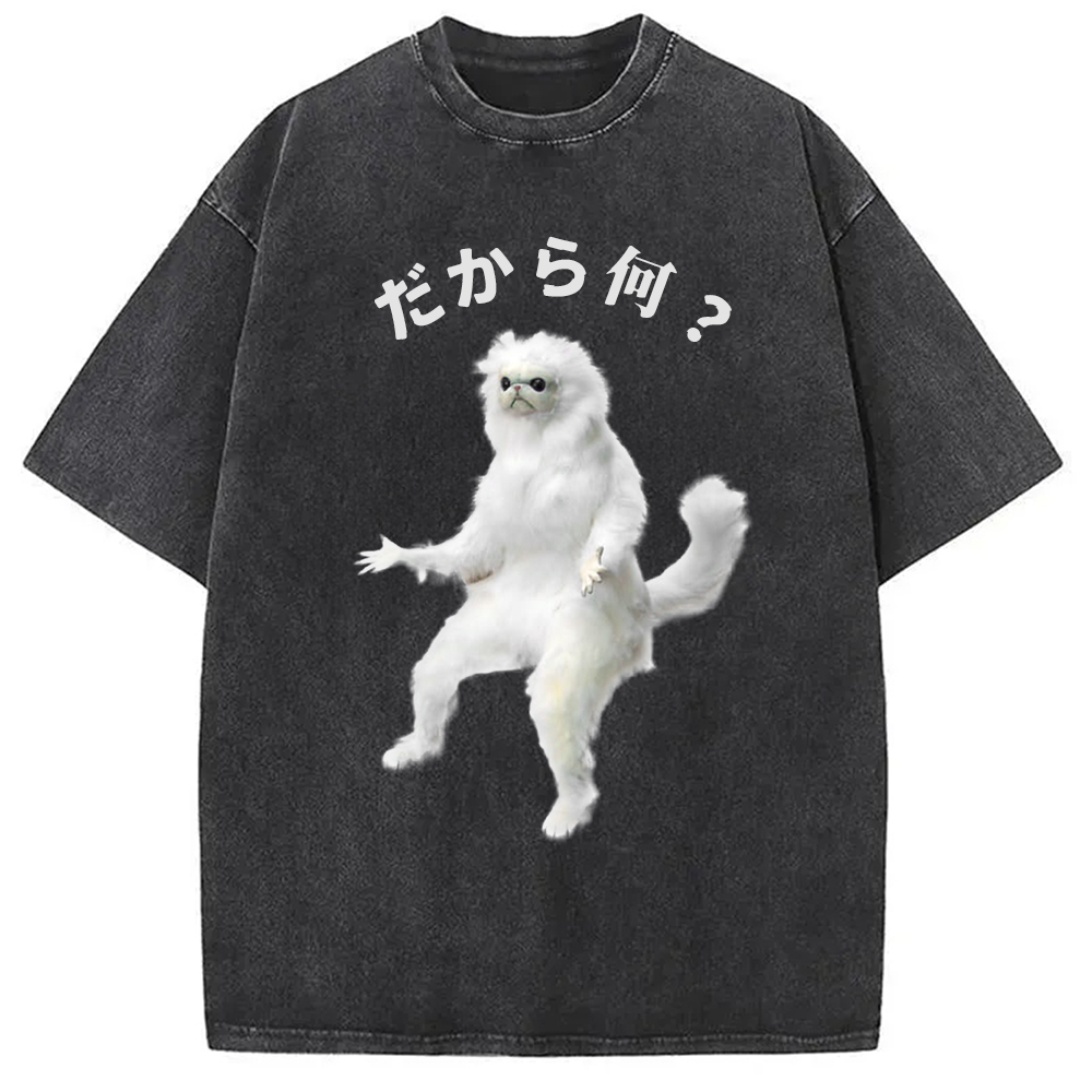Modecanvas So What White Cat Meme Washed T-Shirt