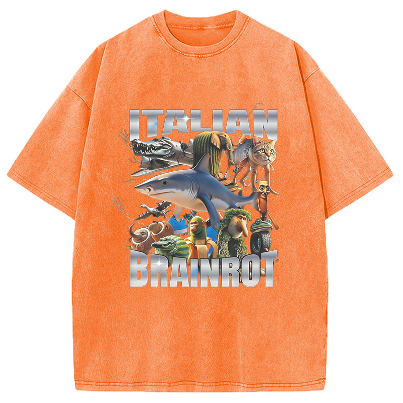 Modecanvas Italian Brainrot Washed T-Shirt