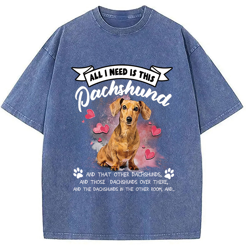 Modecanvas All I Need This Washed T-Shirt