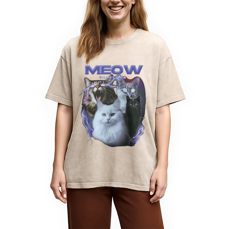 Modecanvas Neow Cat Meme Washed T-Shirt