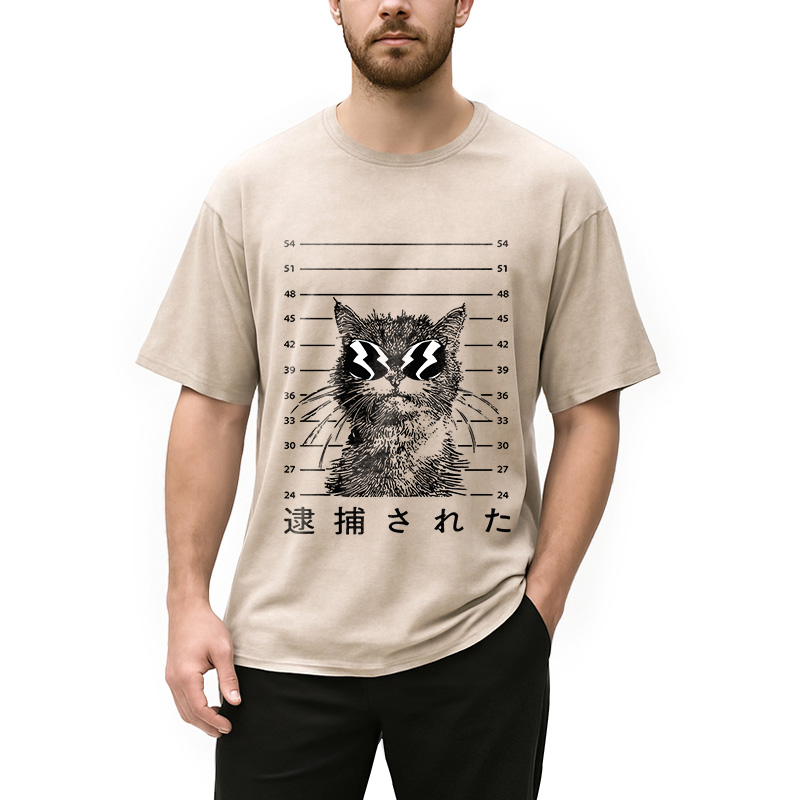 Modecanvas Cat Was Arrested  Washed T-Shirt