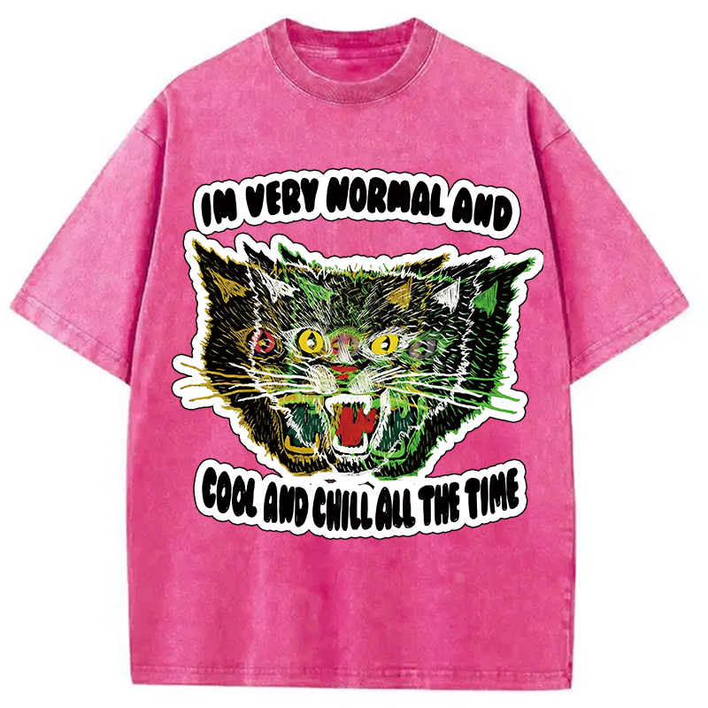 Modecanvas Normal And Chill Cat DTG Printing Washed T-Shirt