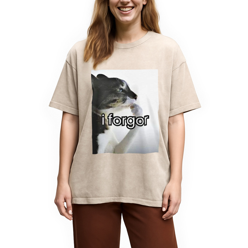 Modecanvas I Forgor Cat Meme Washed T-Shirt