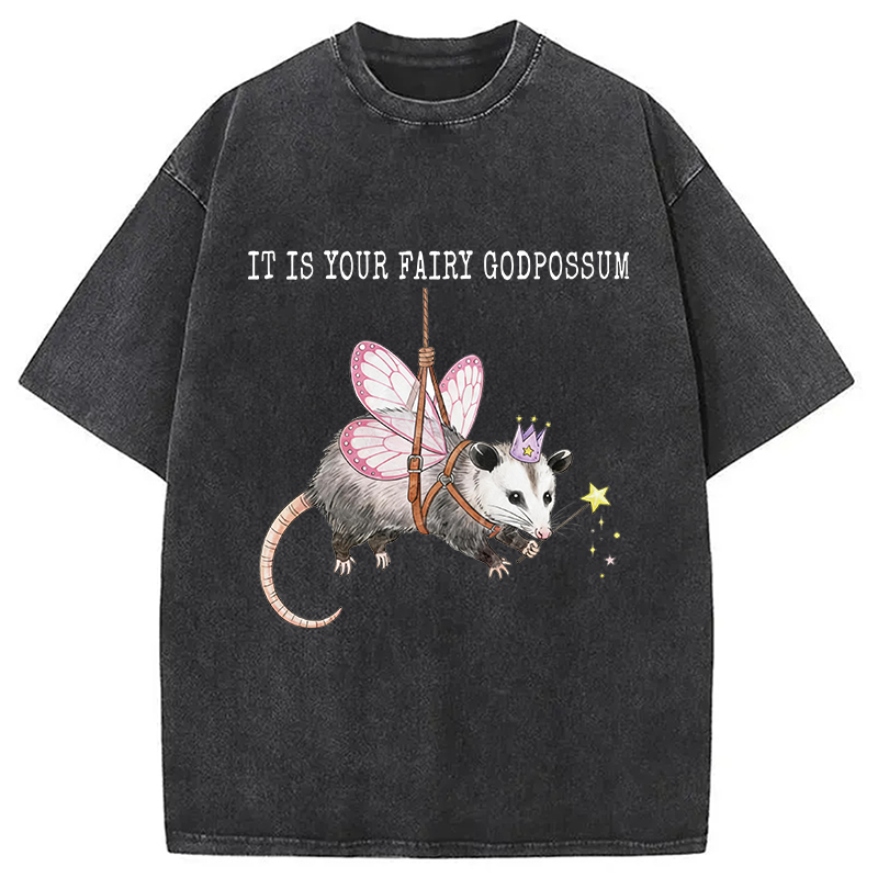 Modecanvas Funny Possum Meme DTG Printing Washed T-Shirt