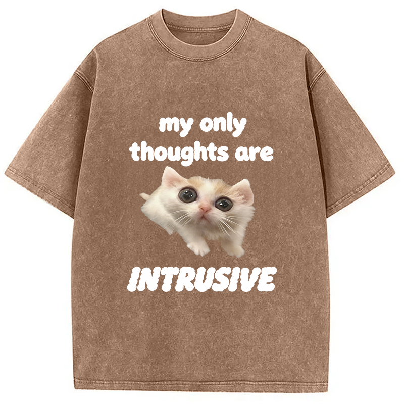 Modecanvas My Thoughts Are Only Intrusive Cat DTG Printing Washed T-Shirt