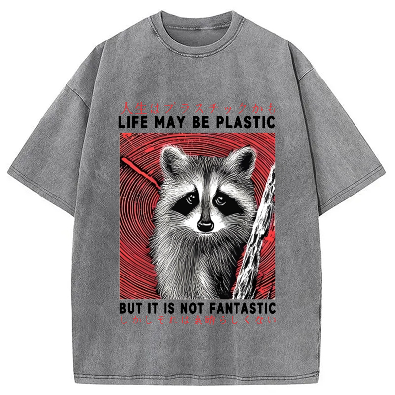 Modecanvas Raccoon Vintage Japanese Washed T-Shirt