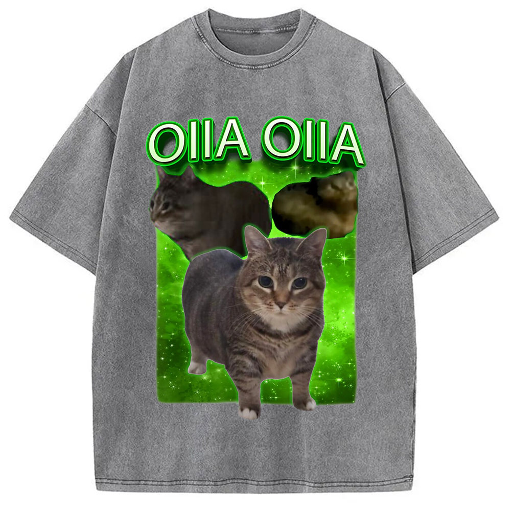 Modecanvas Oiia Cat Funny Meme Washed T-Shirt-modecanvas