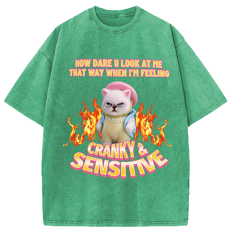 Modecanvas Cranky Kitty DTG Printing Washed T-Shirt