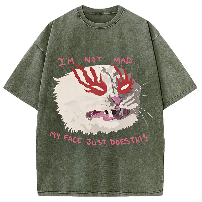 Modecanvas I'm Not Mad DTG Printing Washed T-Shirt