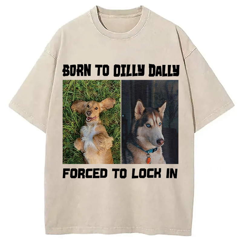 Modecanvas Born to Dilly Dally Forced to Lock In Funny Dog Meme DTG Printing Washed T-Shirt