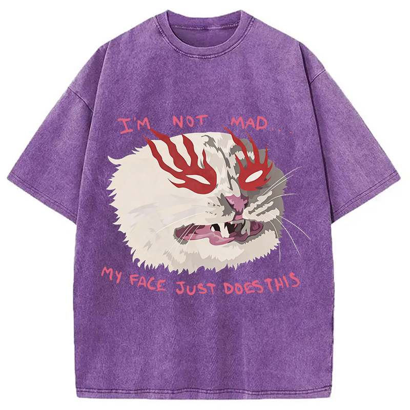 Modecanvas I'm Not Mad DTG Printing Washed T-Shirt