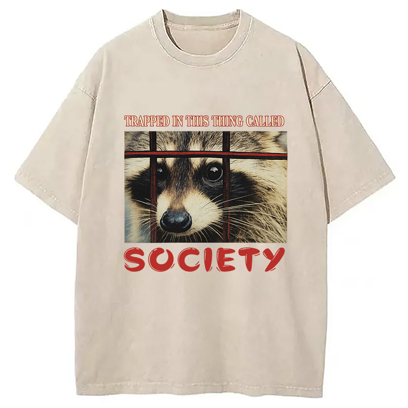 Modecanvas Society Raccoon Washed T-Shirt