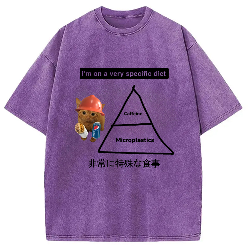 Modecanvas A Very Specific Diet Cat Meme Washed T-Shirt