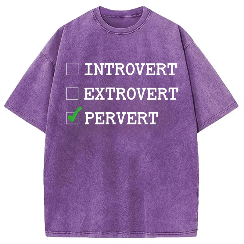 Modecanvas Introvert Extrovert Pervert DTG Printing Washed T-Shirt