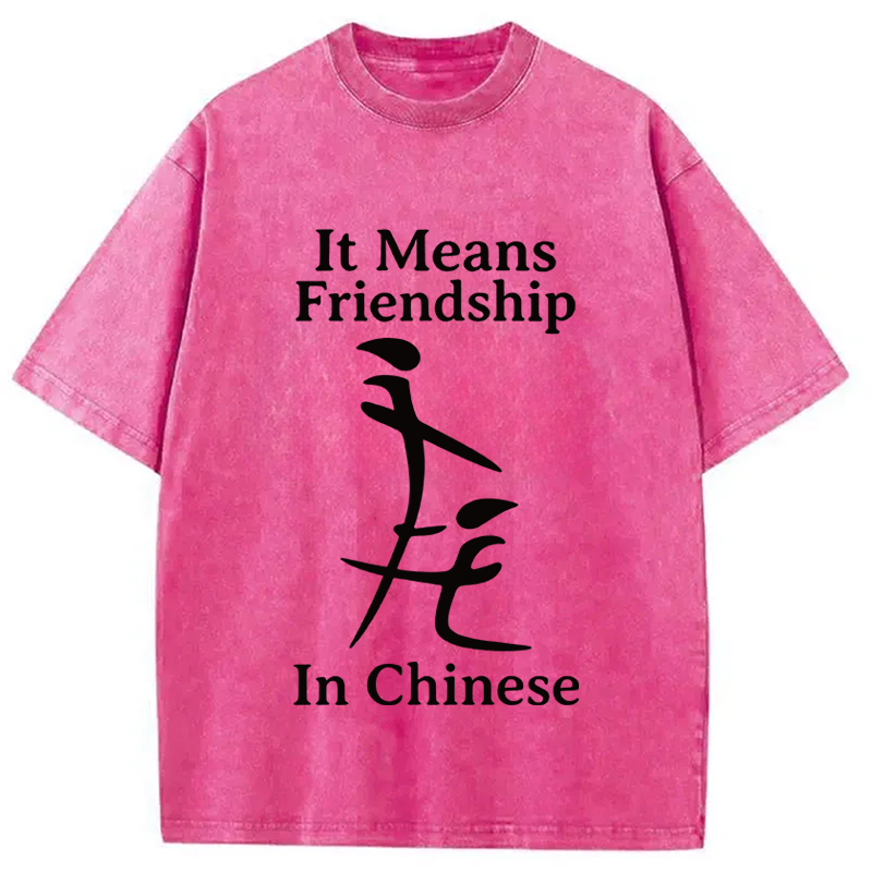 Modecanvas Funny Inappropriate Meme DTG Printing Washed T-Shirt