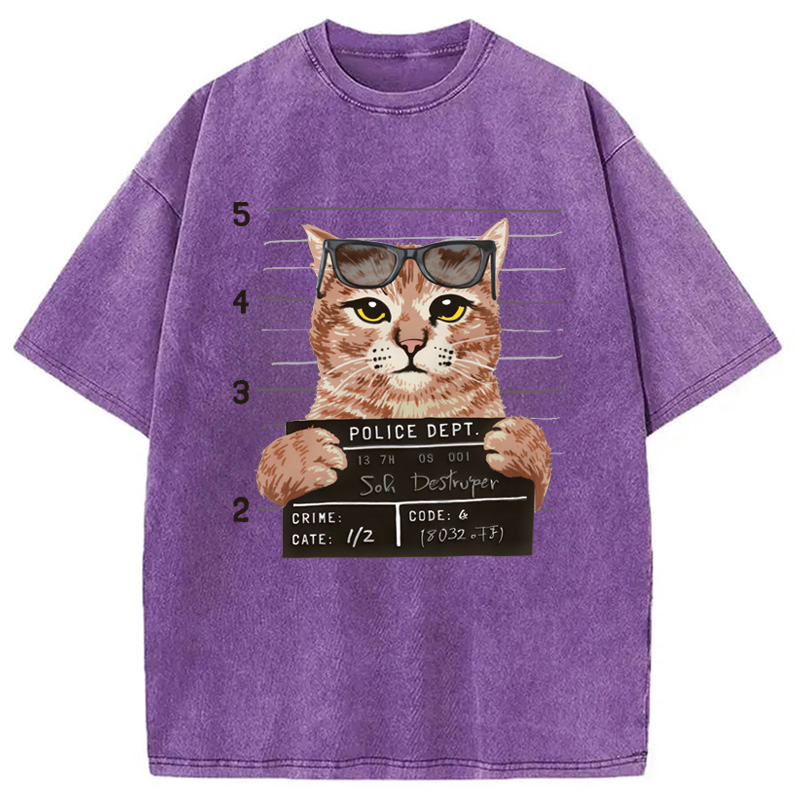 Modecanvas Cat Holding Mugshot Arrested Washed T-Shirt