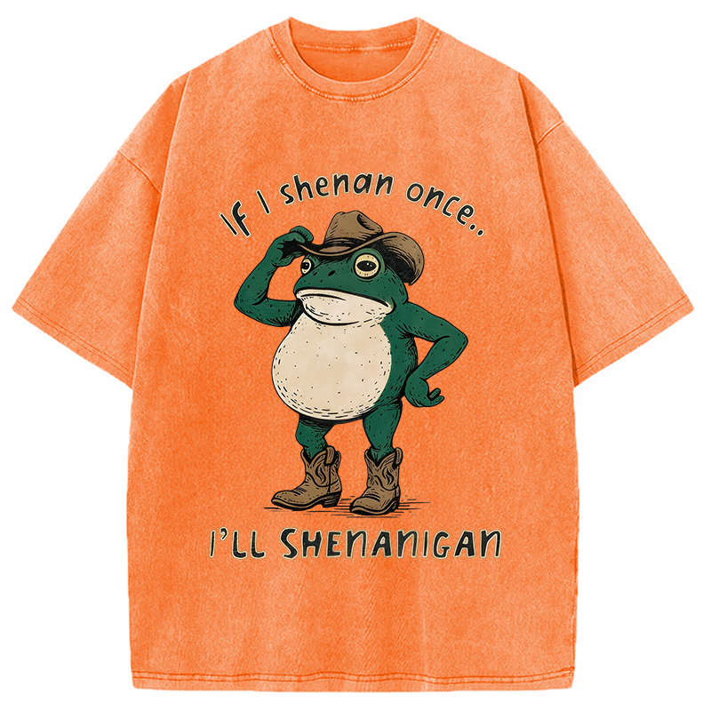 Modecanvas If I Shenan Once Funny Frog DTG Printing Washed T-Shirt