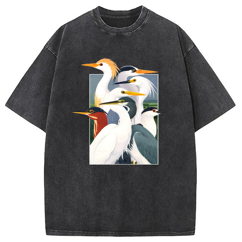 Modecanvas Wetland Assembly DTG Printing Washed T-Shirt