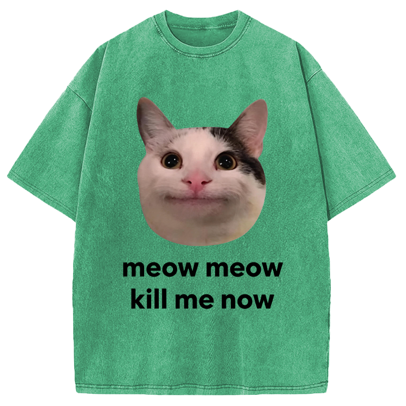 Modecanvas Meow Meow Kill Me Now Polite Cat Meme DTG Printing Washed T-Shirt