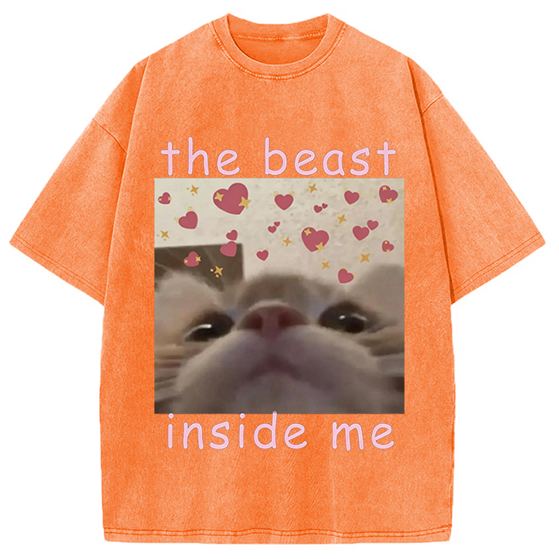 Modecanvas The beast inside me Cat Meme DTG Printing Washed T-Shirt