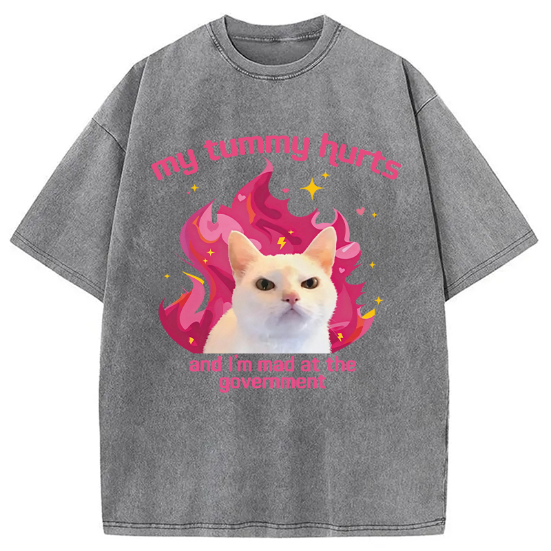 Modecanvas My Tummy Hurts Funny Cat Meme DTG Printing Washed T-Shirt
