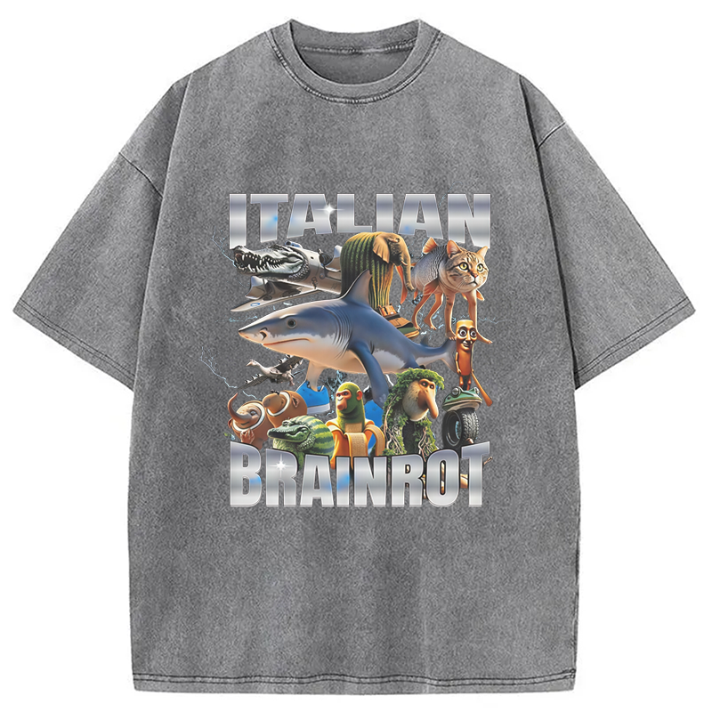 Modecanvas Italian Brainrot Washed T-Shirt