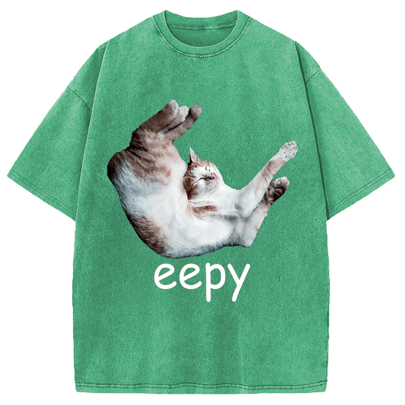 Modecanvas Silly Sleepy Cat Meme DTG Printing Washed T-Shirt