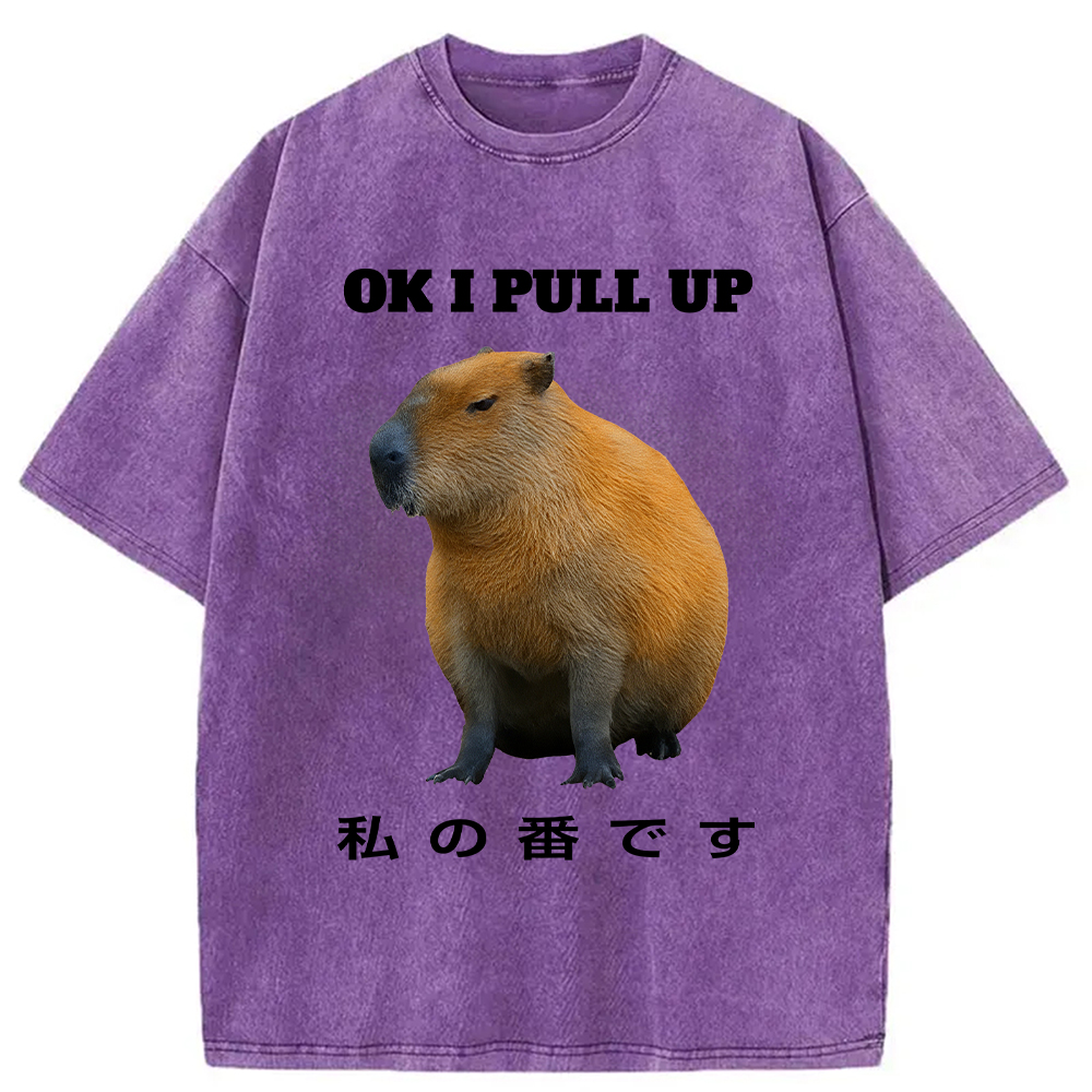 Modecanvas Ok I Pull Up Funny Capybara Washed T-Shirt