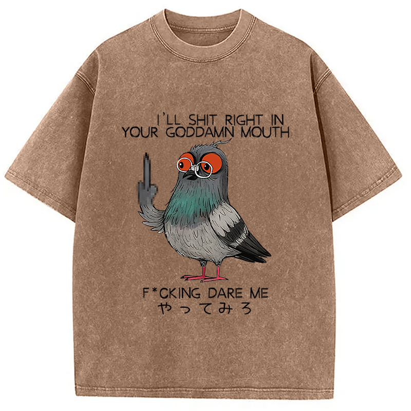 Modecanvas Angry Pigeon Washed T-Shirt
