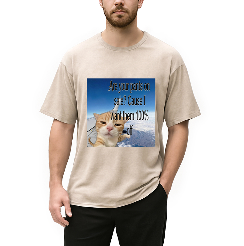 Modecanvas Are Your Pants On Sale? Cause I Want Them 100% Off DTG Printing Washed T-Shirt
