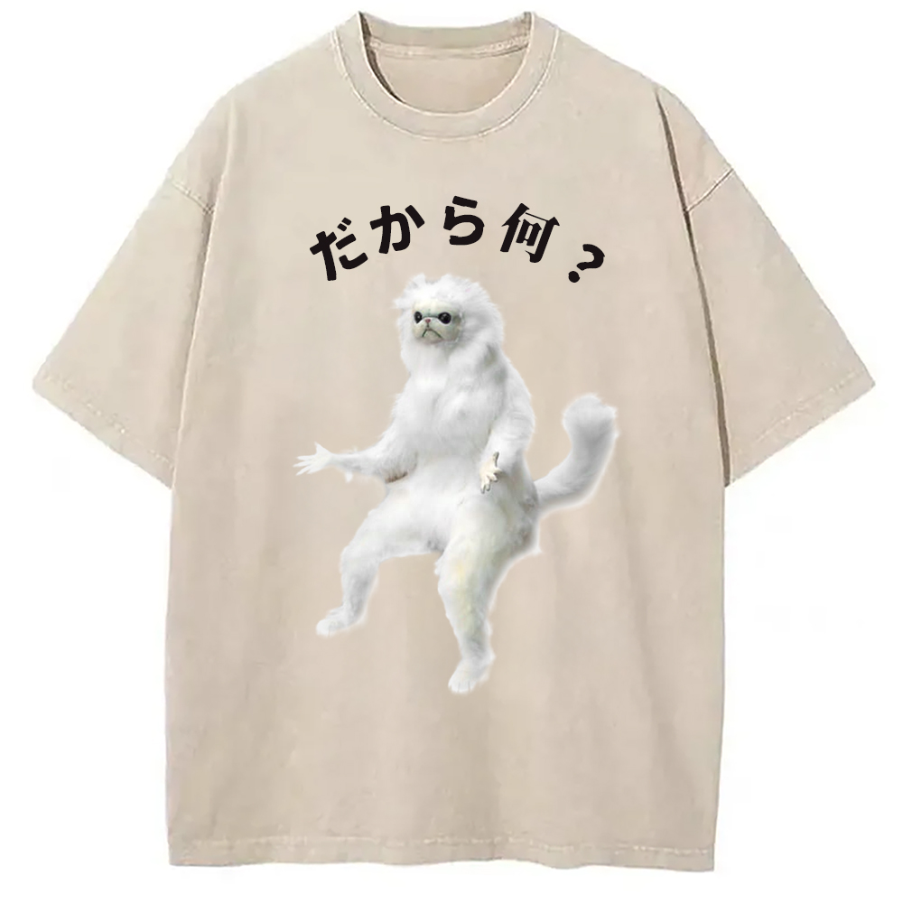 Modecanvas So What White Cat Meme Washed T-Shirt