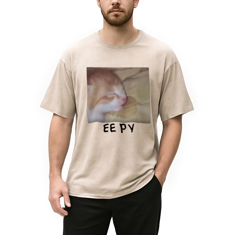 Modecanvas Eepy Kitty Meme Washed T-Shirt